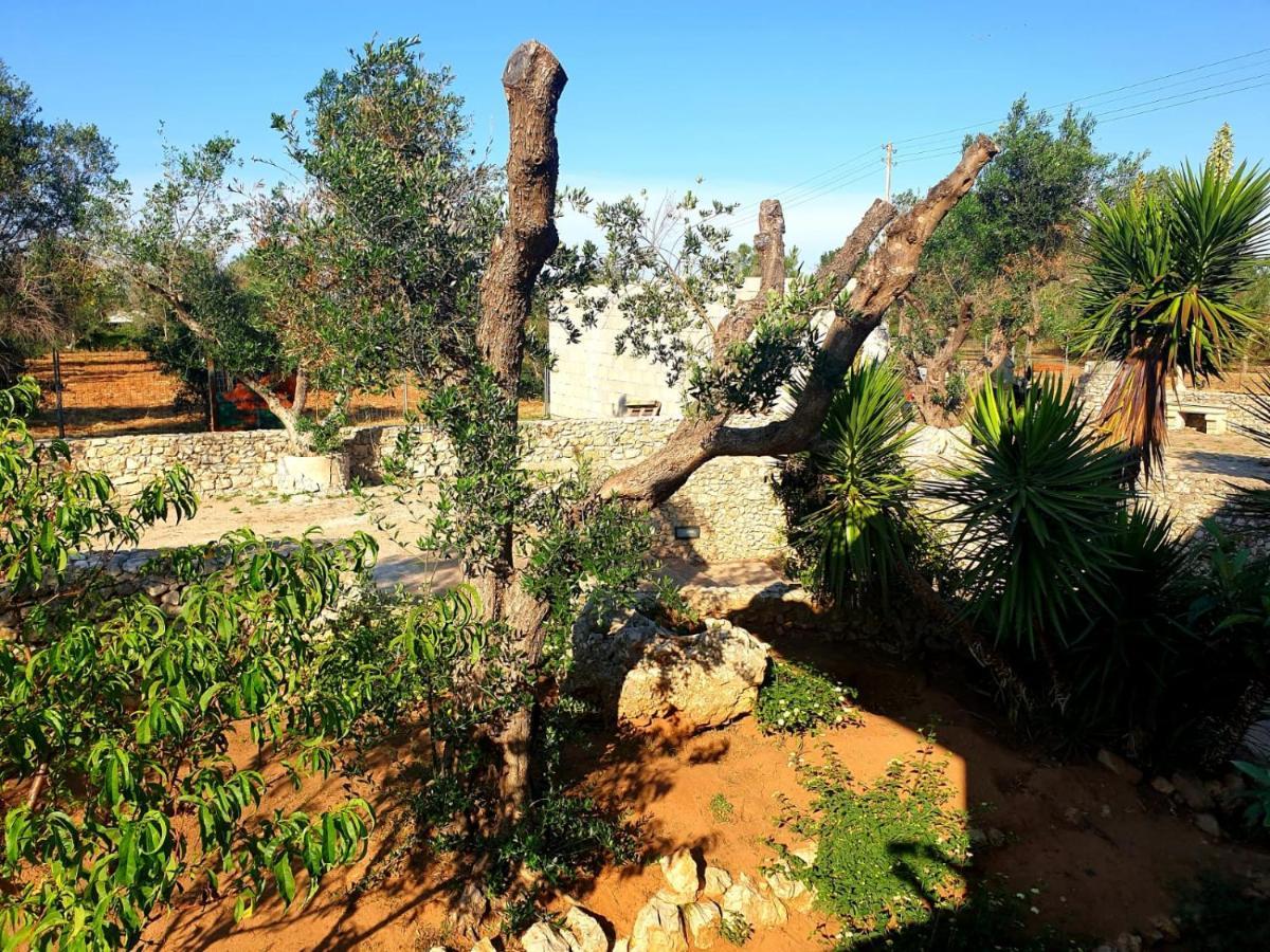 Villa Sargheruoli Монтерони ди Лече Екстериор снимка